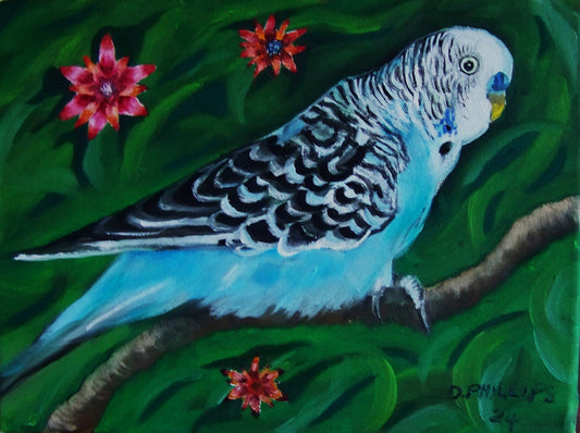 Budgie